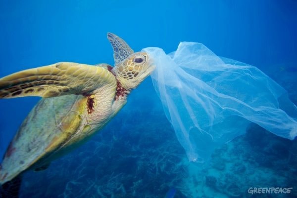 Plastika u Jadranu - Zabrana vrećica samo je prvi korak