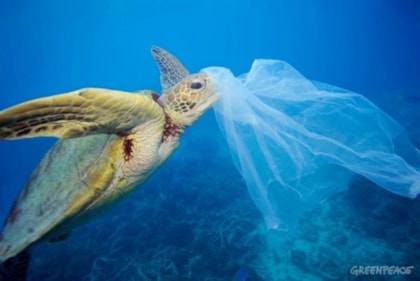 Plastika u Jadranu - Zabrana vrećica samo je prvi korak