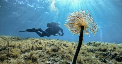 "Mayday Mayday Medulin" - izložba podvodnih fotografija udruge Eko more Medulin