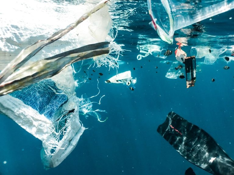 Egzistencijalna prijetnja - Zagađenje plastikom postalo je problem poput klimatskih promjena